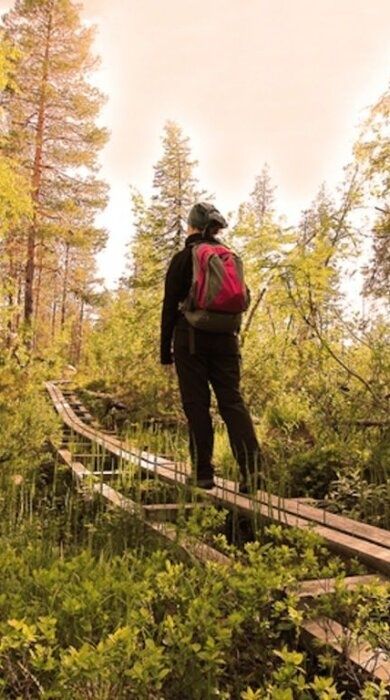 Vandrare med röd ryggsäck på spång i höstskog